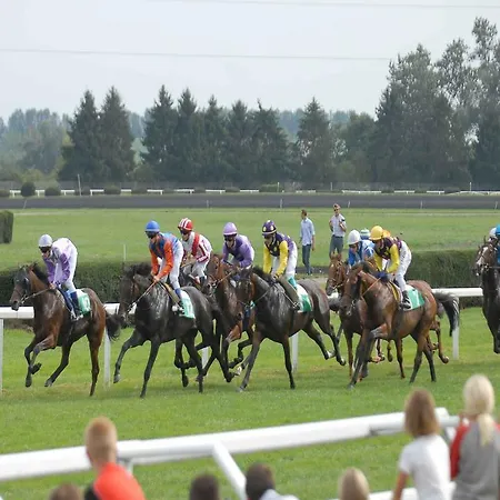 Acapulco 빌뇌브루베